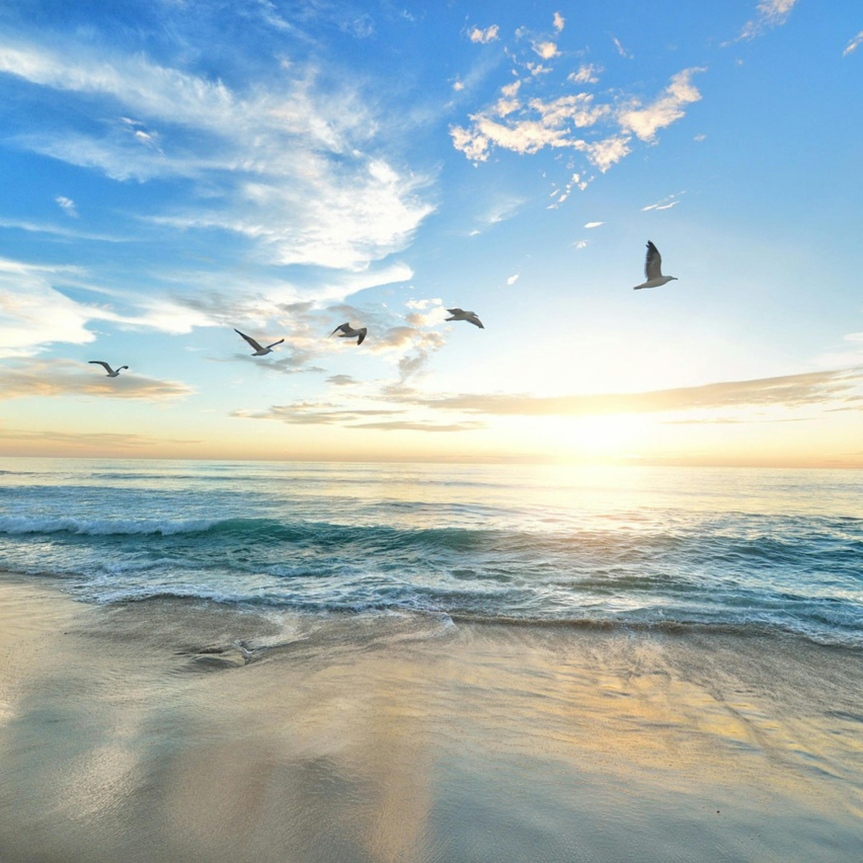  VAGUES DE L'OCEAN et SYMPHONIE Apaisante pour un DORMIR Rapidement