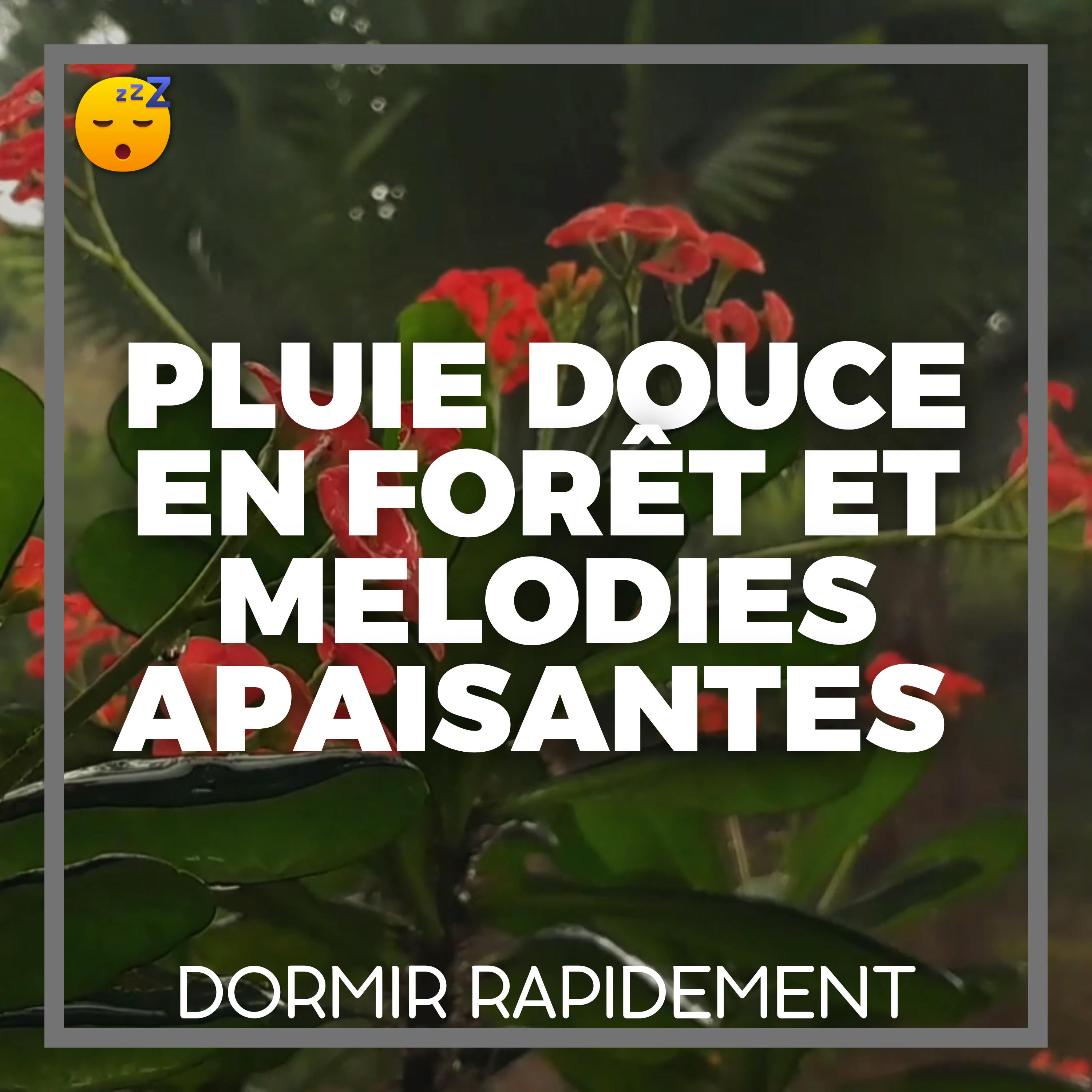 ️ PLUIE Douce en Forêt et MELODIES Apaisantes pour un SOMMEIL Réparateur