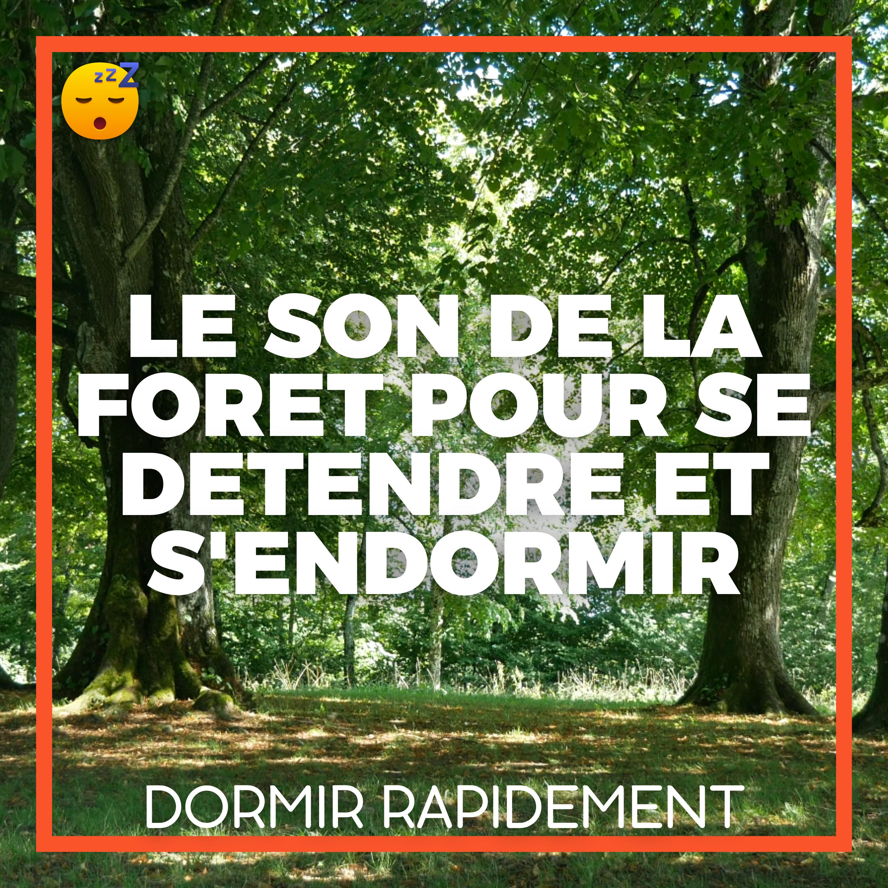  Un Voyage Sonore à Travers la FORET pour se DETENDRE et S'ENDORMIR en Douceur