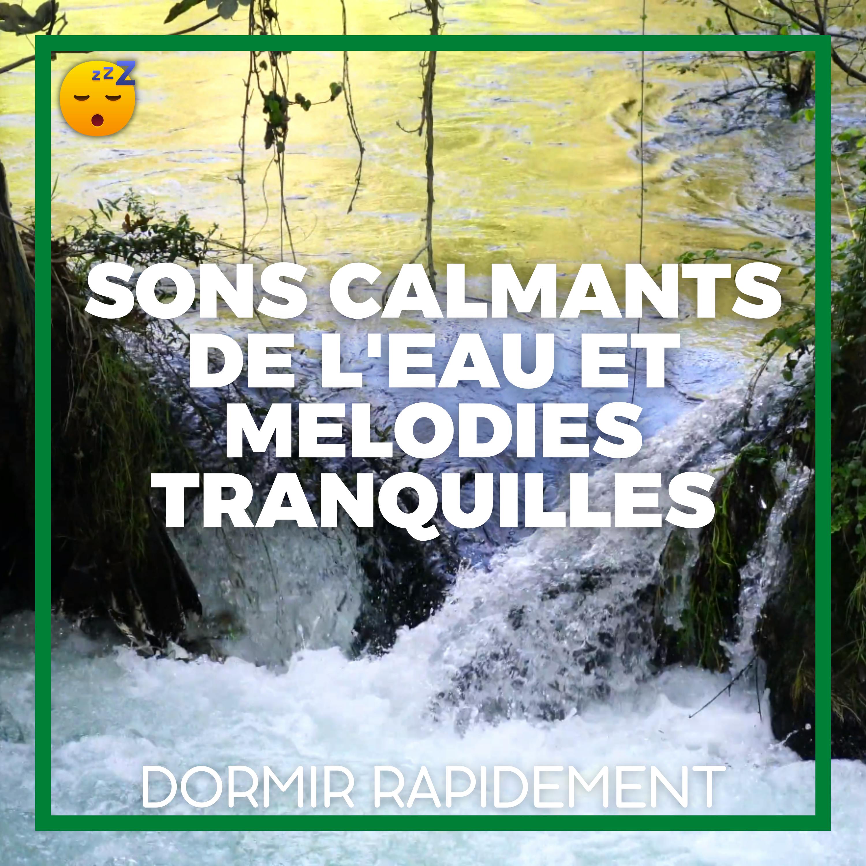 Sons Calmants de l'EAU et MELODIES Tranquilles pour S'ENDORMIR en Douceur