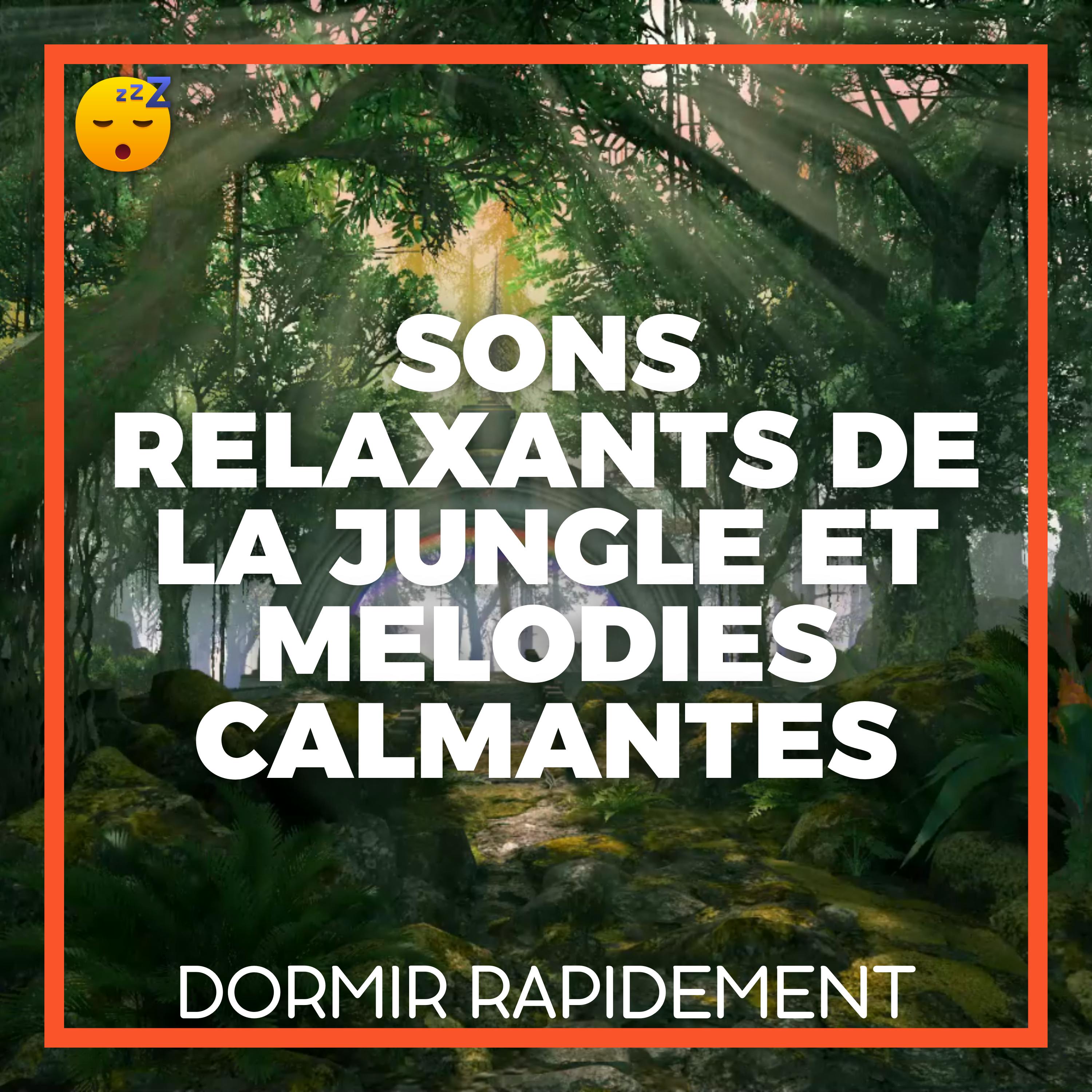 SYMPHONIE Naturelle : Sons Relaxants de la JUNGLE et MELODIES Calmantes pour un SOMMEIL Profond