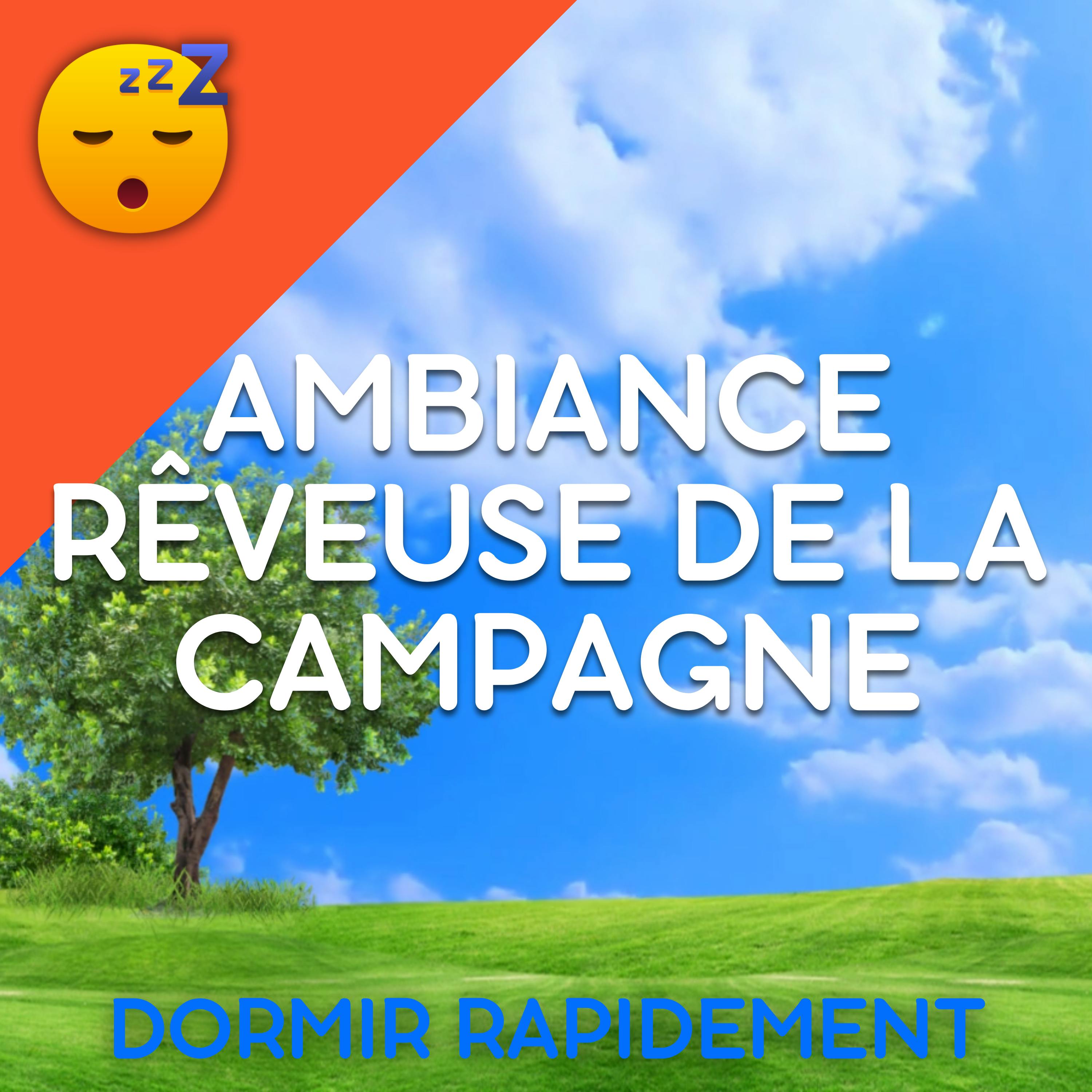 Ambiance Rêveuse de la CAMPAGNE : MUSIQUE Sereine et CHANTS D'OISEAUX pour un Meilleur SOMMEIL et un BIEN-ETRE