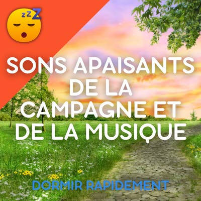 DORMEZ Profondément et Paisiblement avec des Sons Apaisants de la CAMPAGNE et de la MUSIQUE