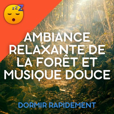 Ambiance Relaxante de la FORÊT et MUSIQUE Calmante pour un SOMMEIL Réparateur et une Bonne SANTE