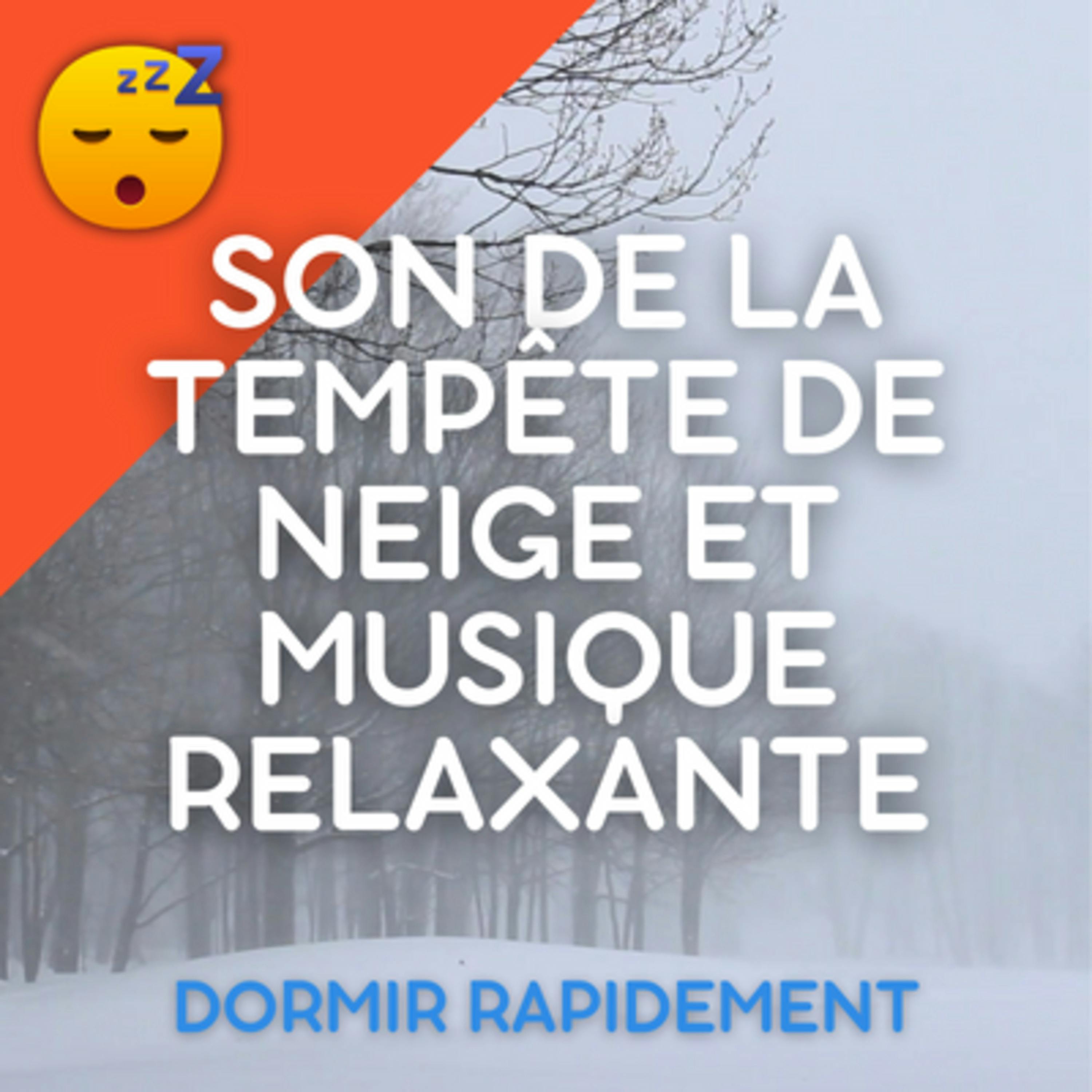 Une NUIT Paisible avec le SON d'une TEMPÊTE DE NEIGE et une MUSIQUE Relaxante