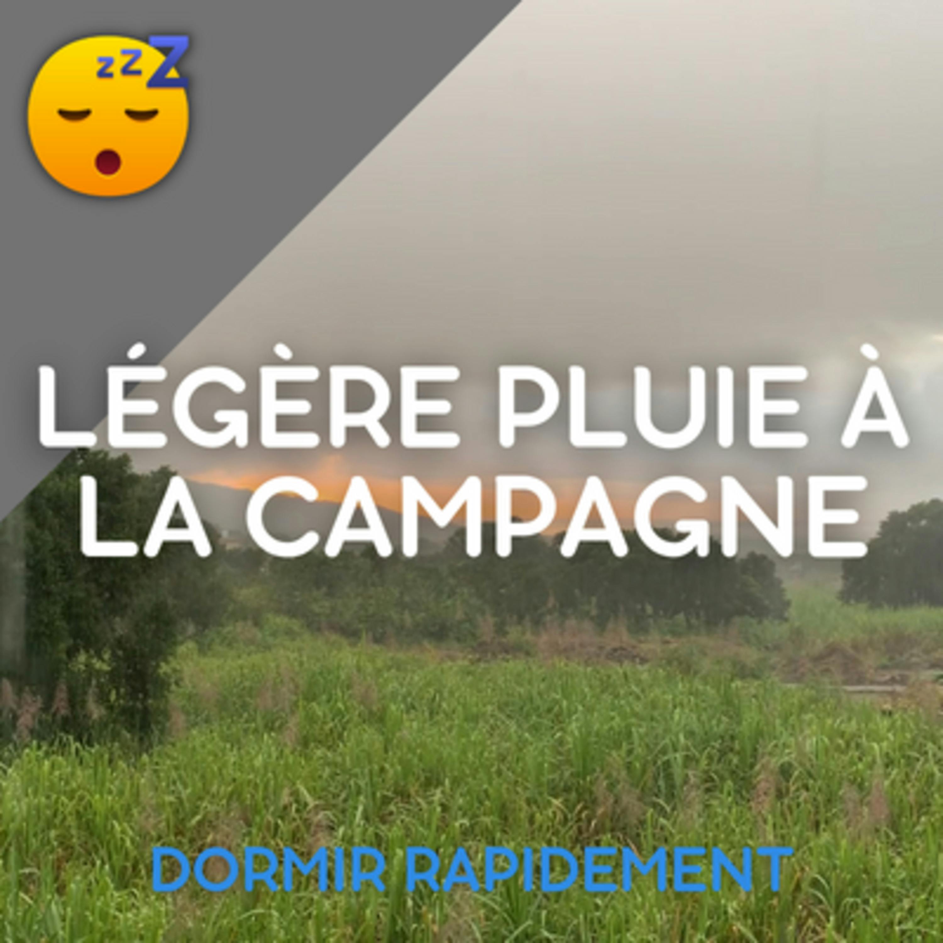 ️ MUSIQUE avec une Légère PLUIE à la Campagne