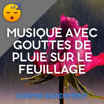 ️ DORMIR avec une MUSIQUE et des GOUTTES de PLUIE sur le Feuillage