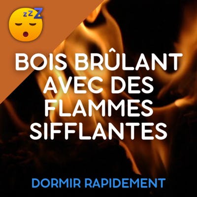 BOIS Brûlant avec des FLAMMES Sifflantes pour le SOMMEIL