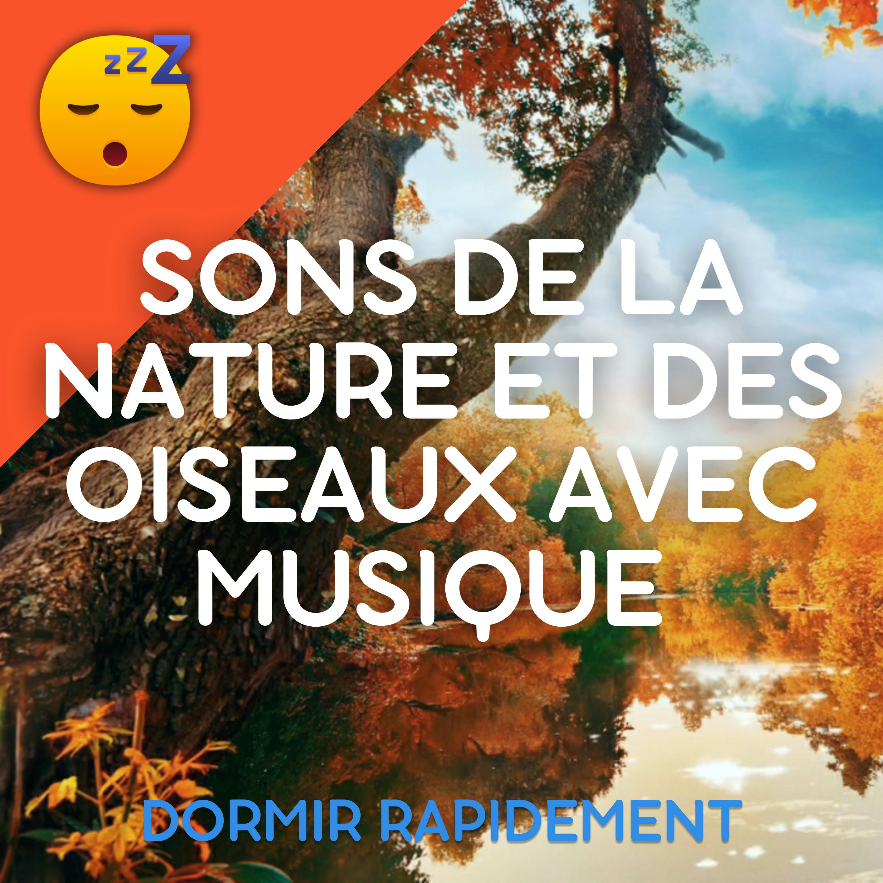 Sons de la NATURE et des OISEAUX avec une MUSIQUE relaxante
