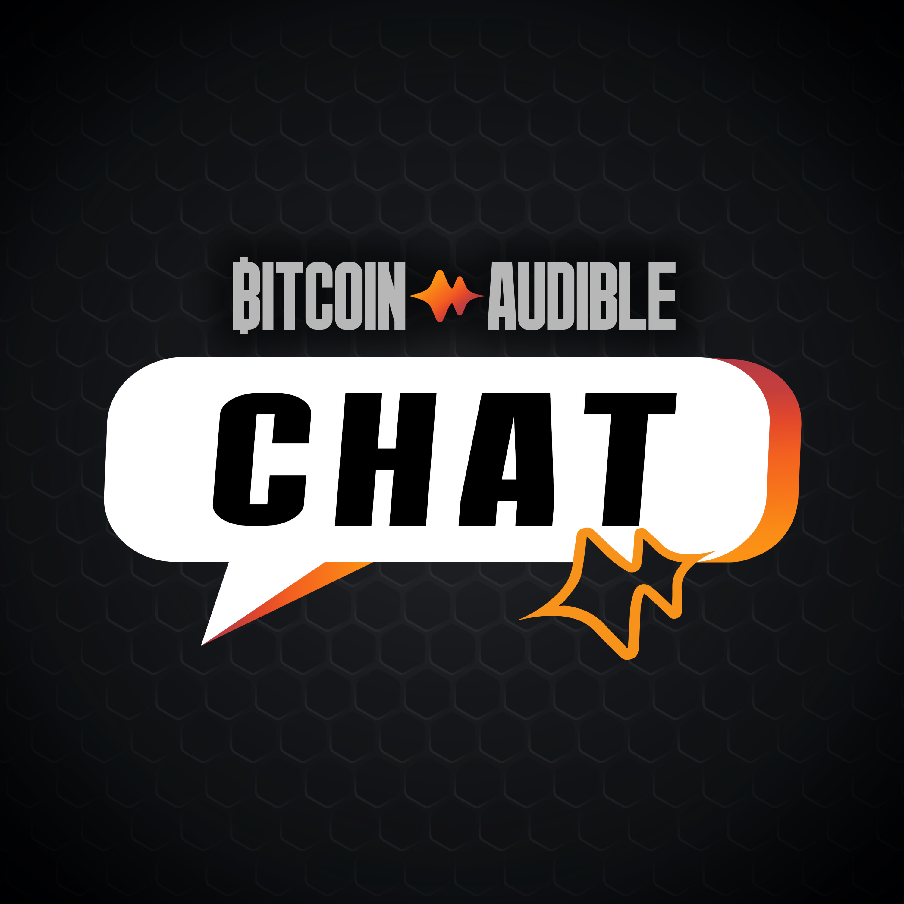 Chat_099 - Failure, Hope and the Purpose of Bitcoin with Bitcoin Mechanic