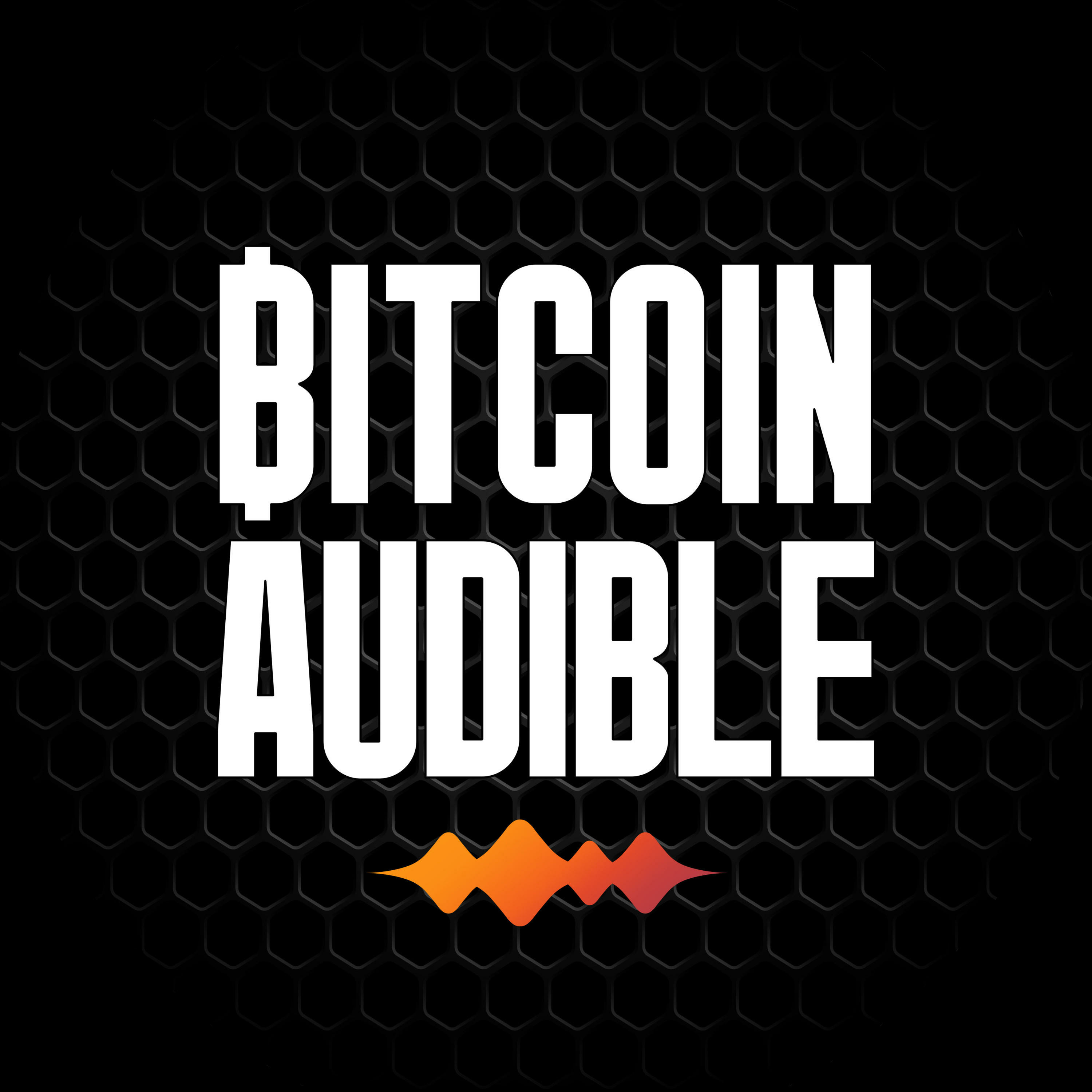 CryptoChat_024 - World War B [The Raleigh Bitcoin Podcast]