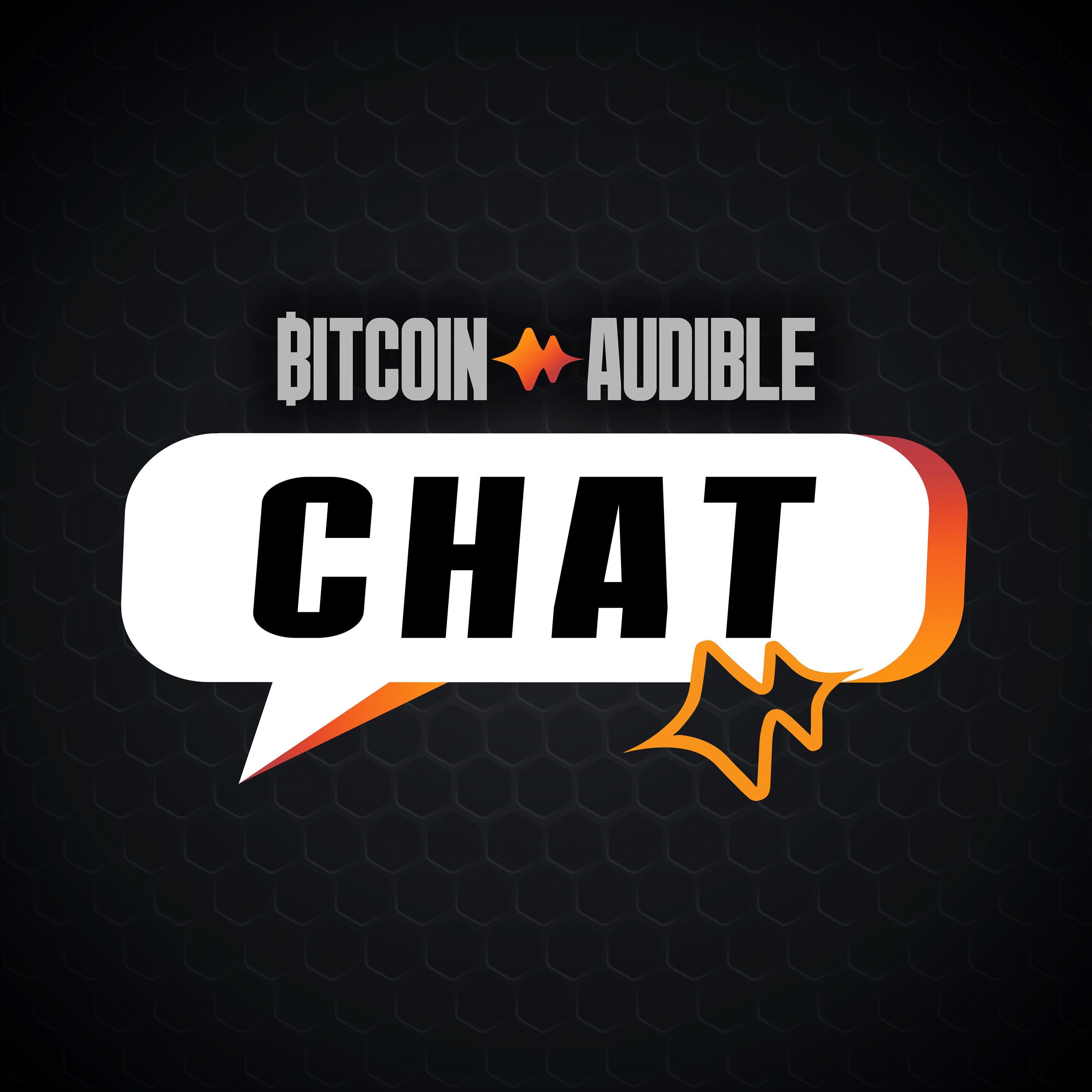 Chat_101 - The Bitcoin Civil War is Over! with Guy Swann [Anarchast]
