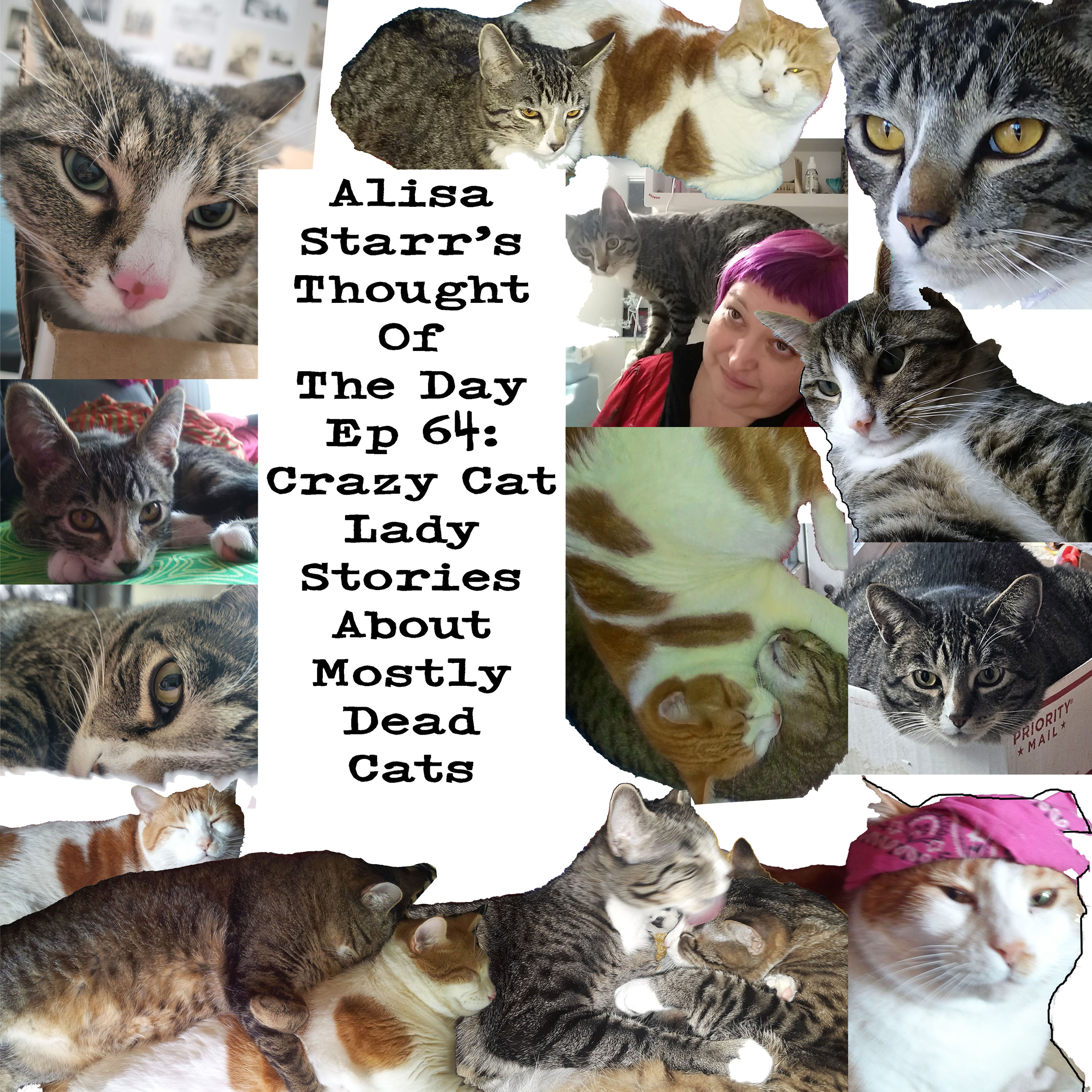 Ep 64: Crazy Cat Lady Stories about mostly dead cats