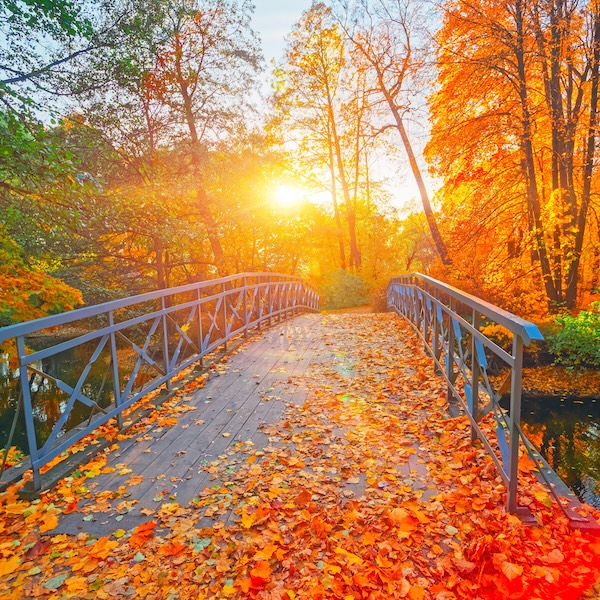 Changing Times at Imperfectly Honest | Sheila Says Goodbye Changing Times at Imperfectly Honest | Sheila Says Goodbye