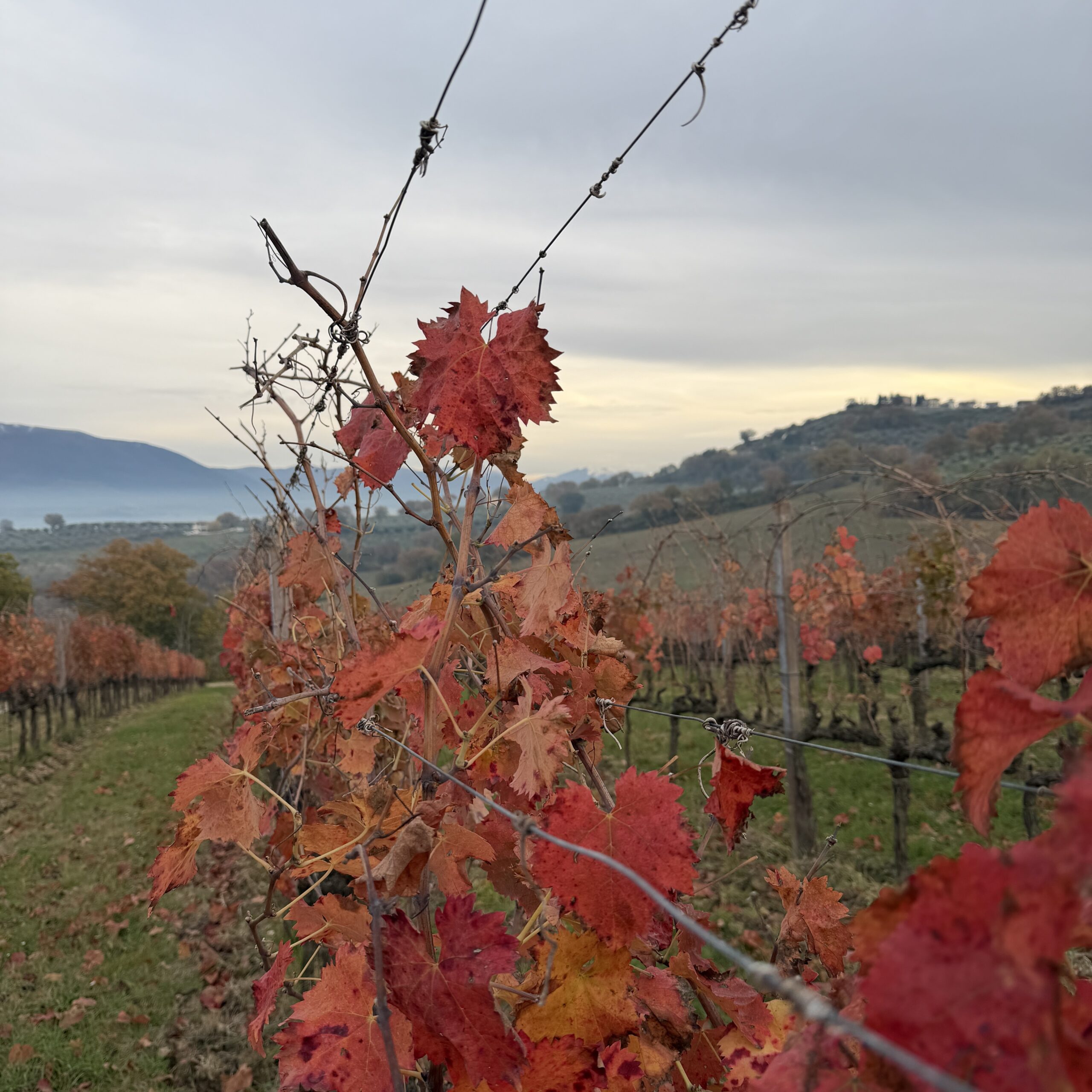 La Dolce Vita: Honest Reflections from an Italian Road Trip — Imperfectly Honest cover