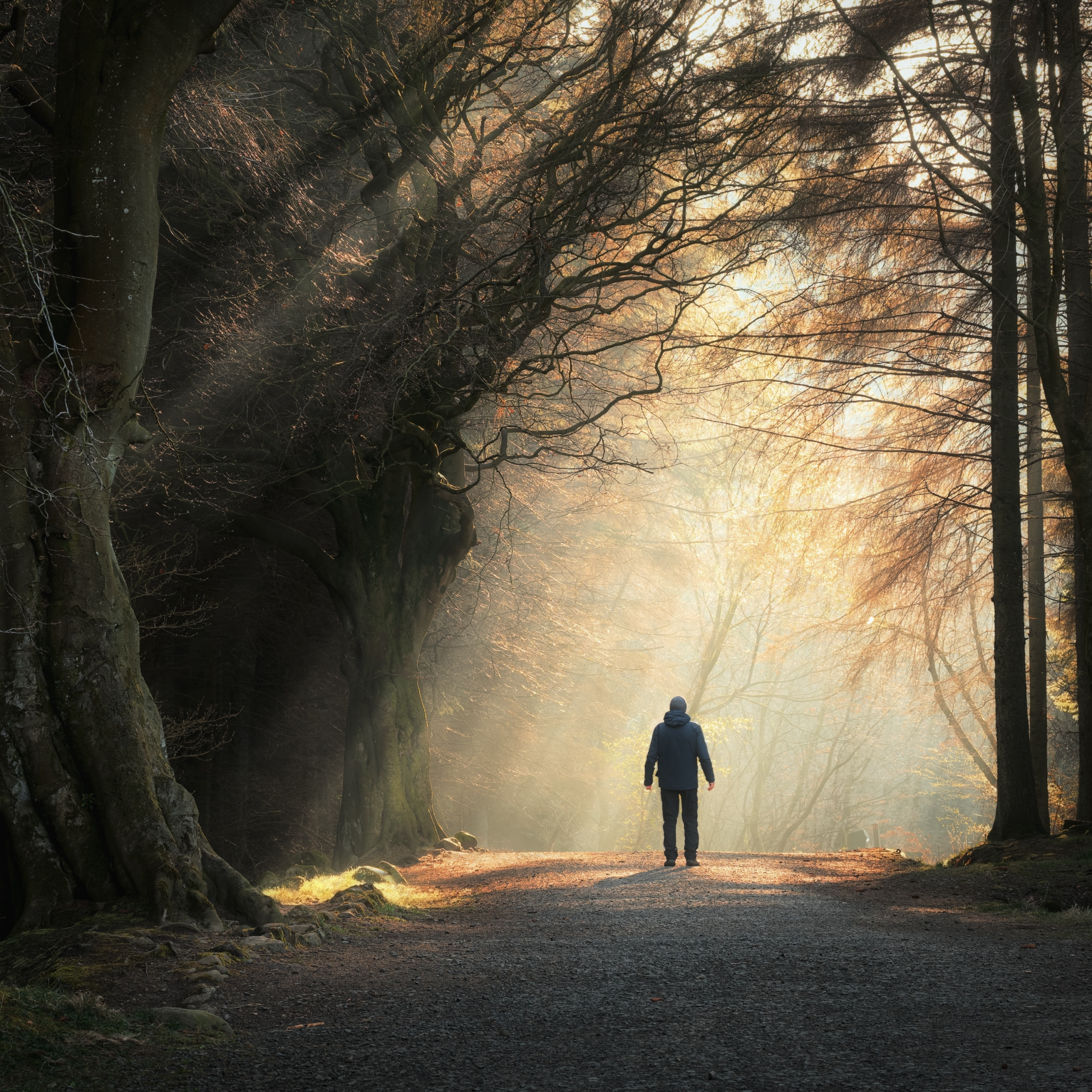 How a Health Crisis Can Teach You How to Live Well