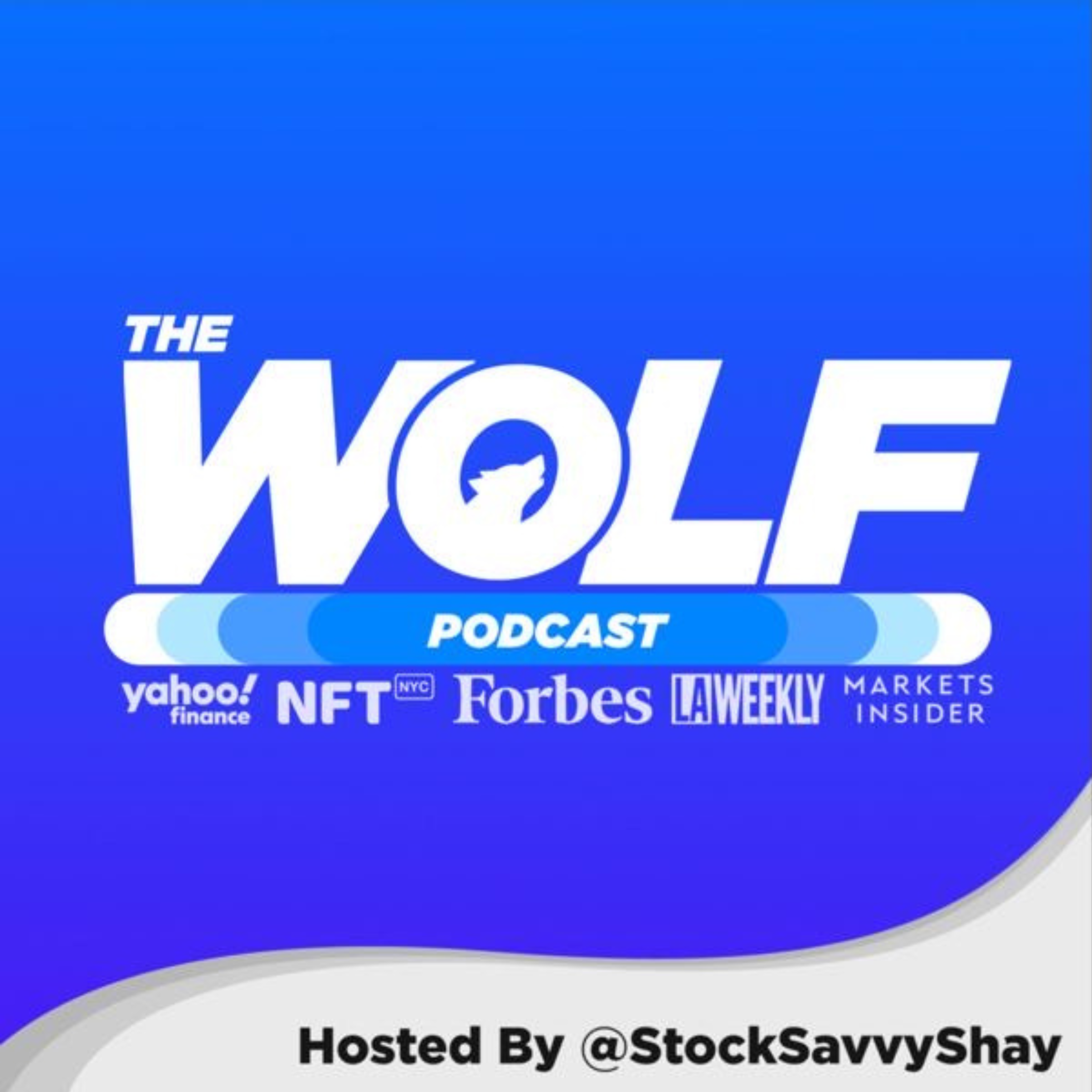 The Wolf Podcast | Episode #2 | Generative AI & The New Digital Economy Part #2