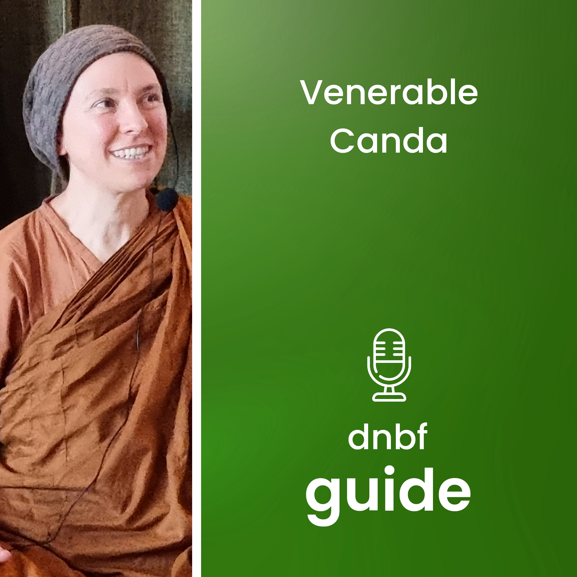 dnbf guide