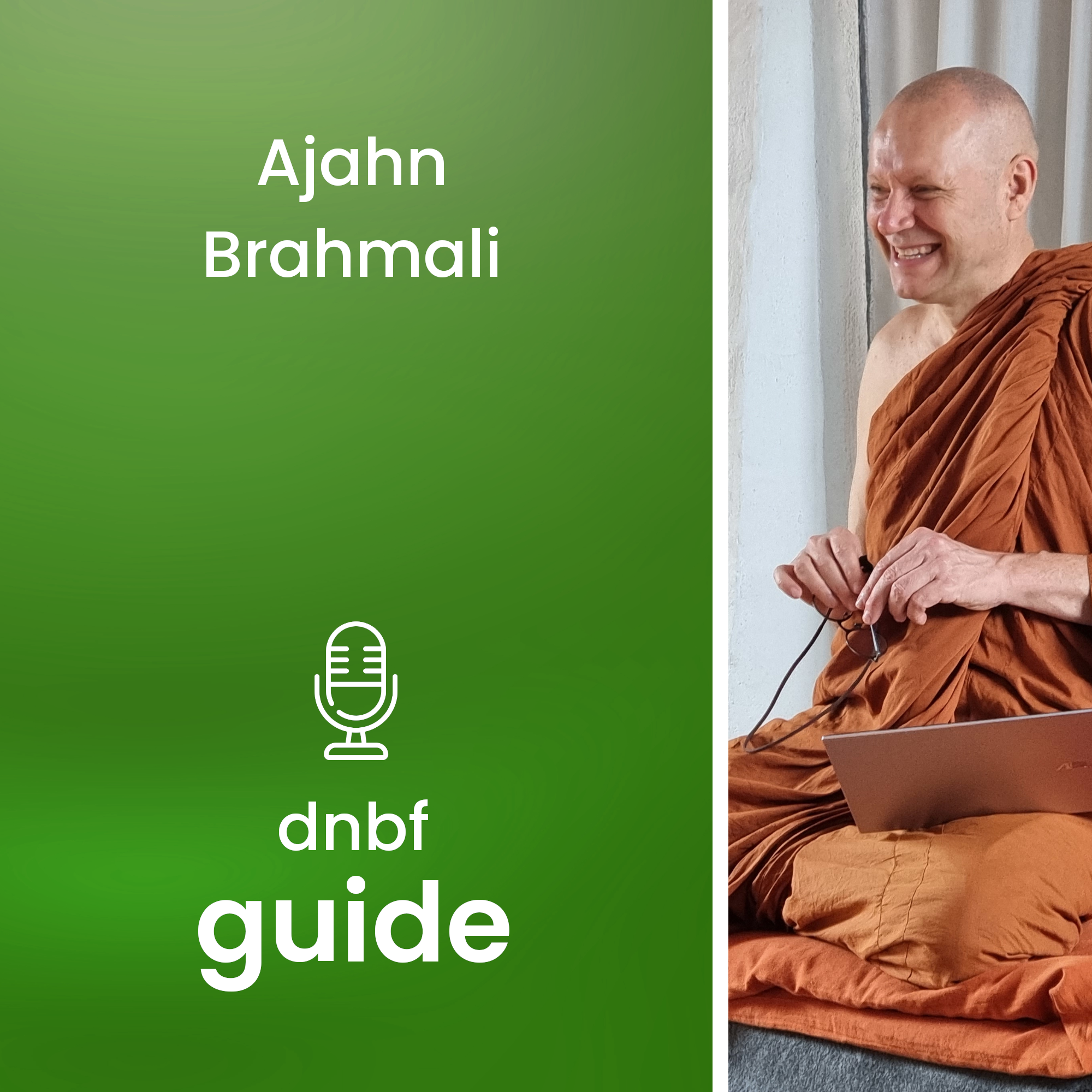 dnbf guide