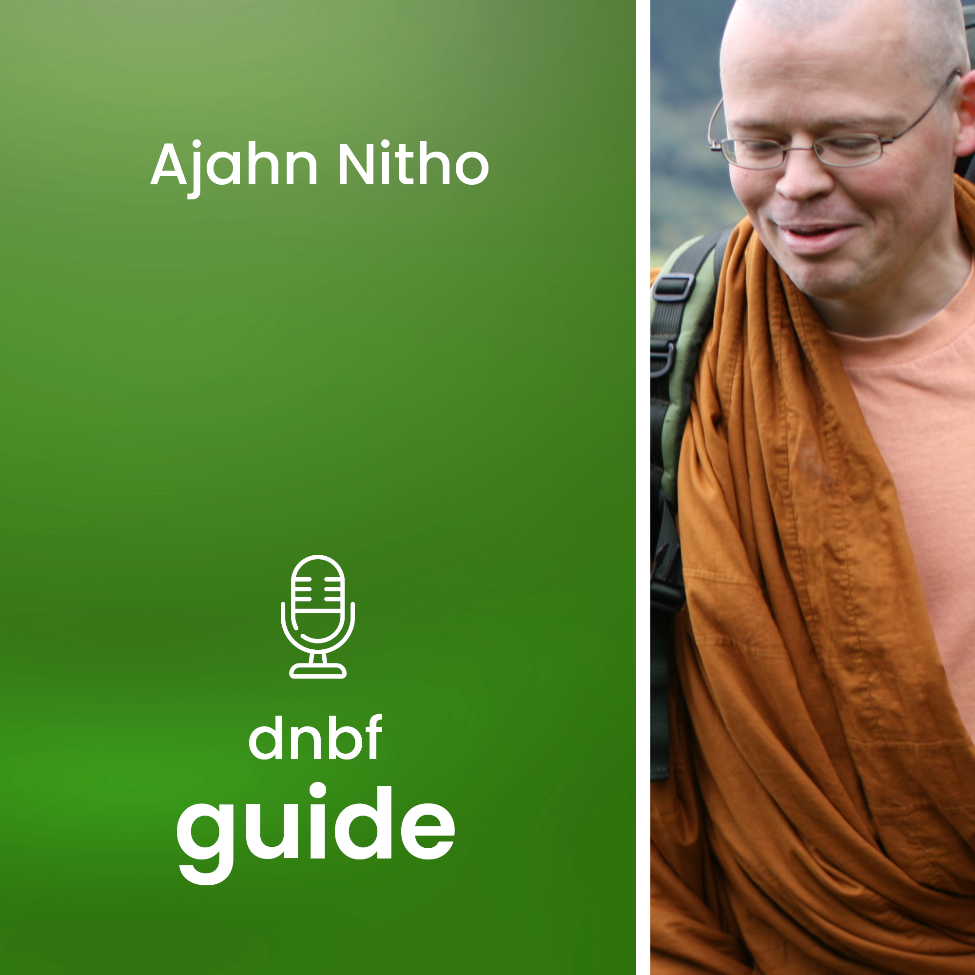 dnbf guide