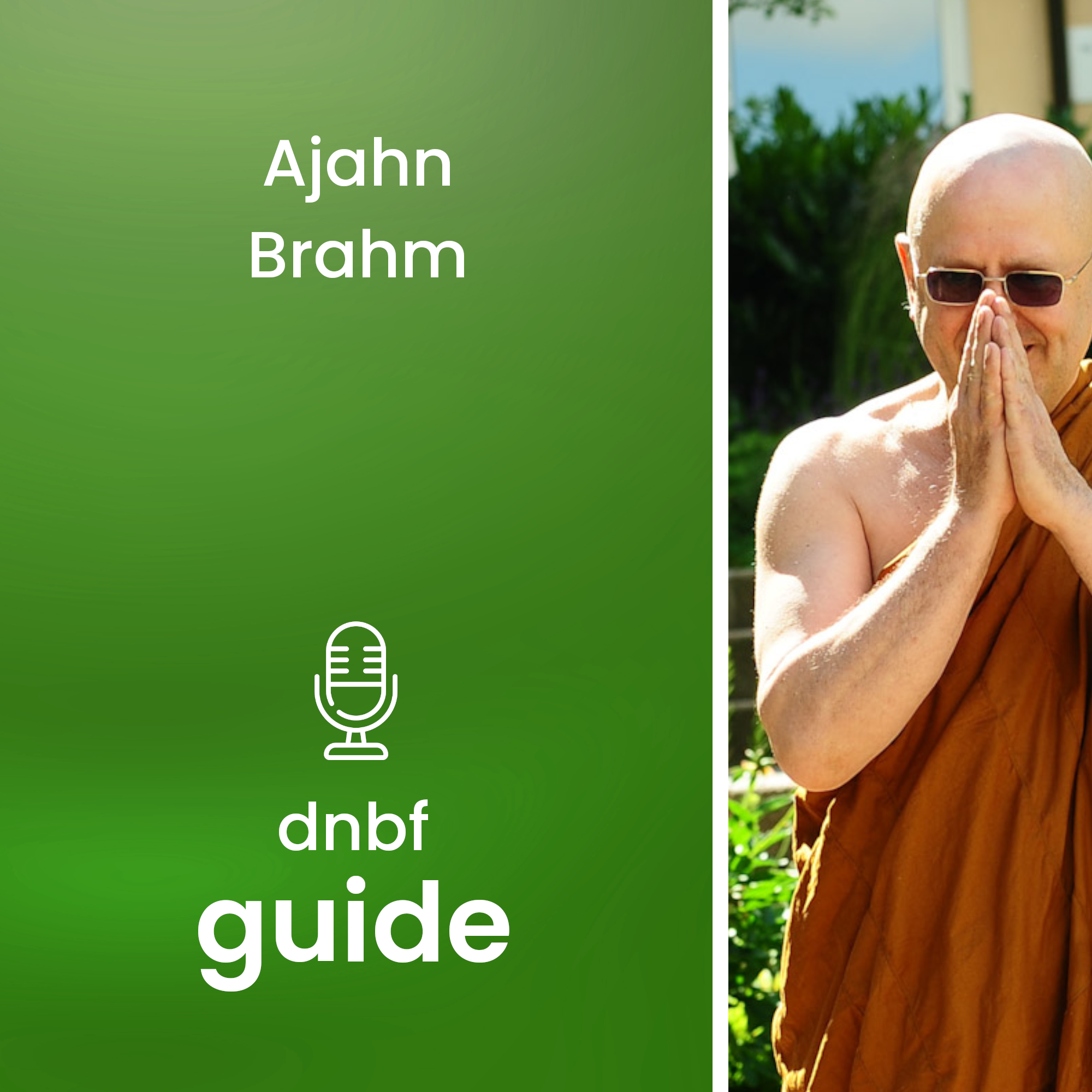 dnbf guide