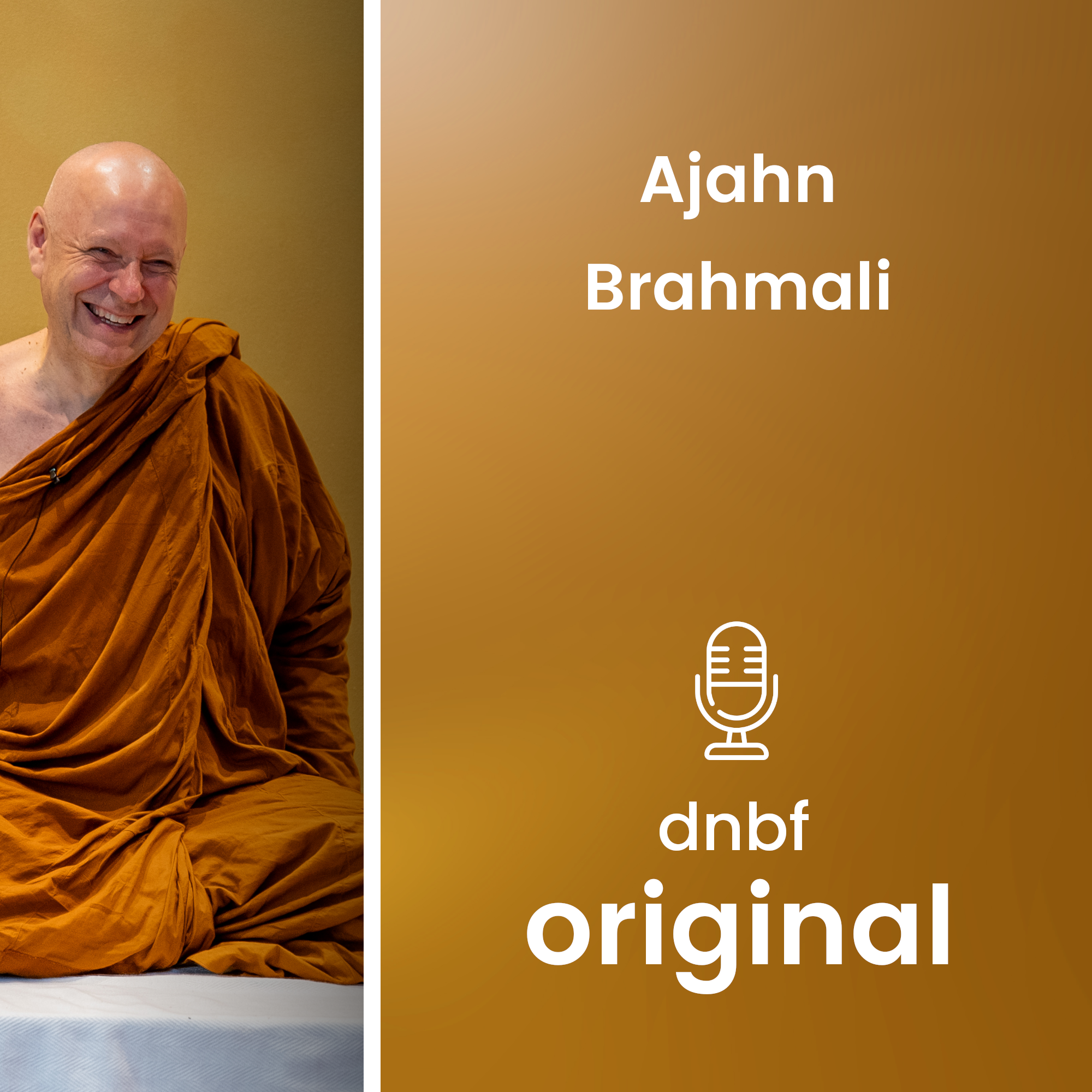 Riktig oppmerksomhet del 7 av 10 | NO | Ajahn Brahmali | Oslo 2025 episode artwork