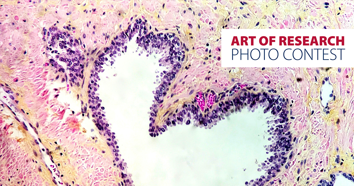 The Art of Research at Queen’s University