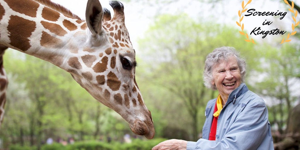 Skarsgård V Giraffes