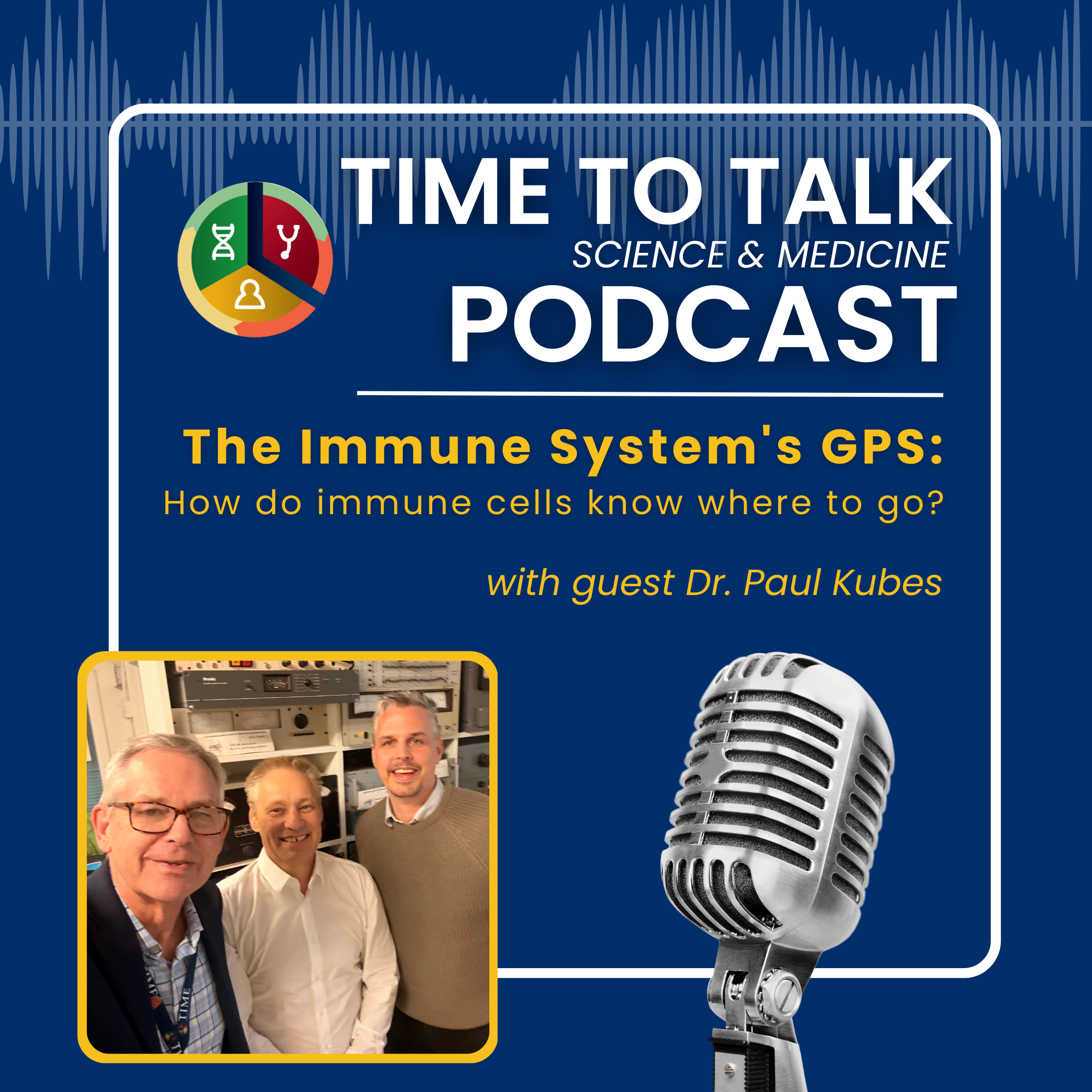 The Immune Systems GPS: How do immune cells know where to go?