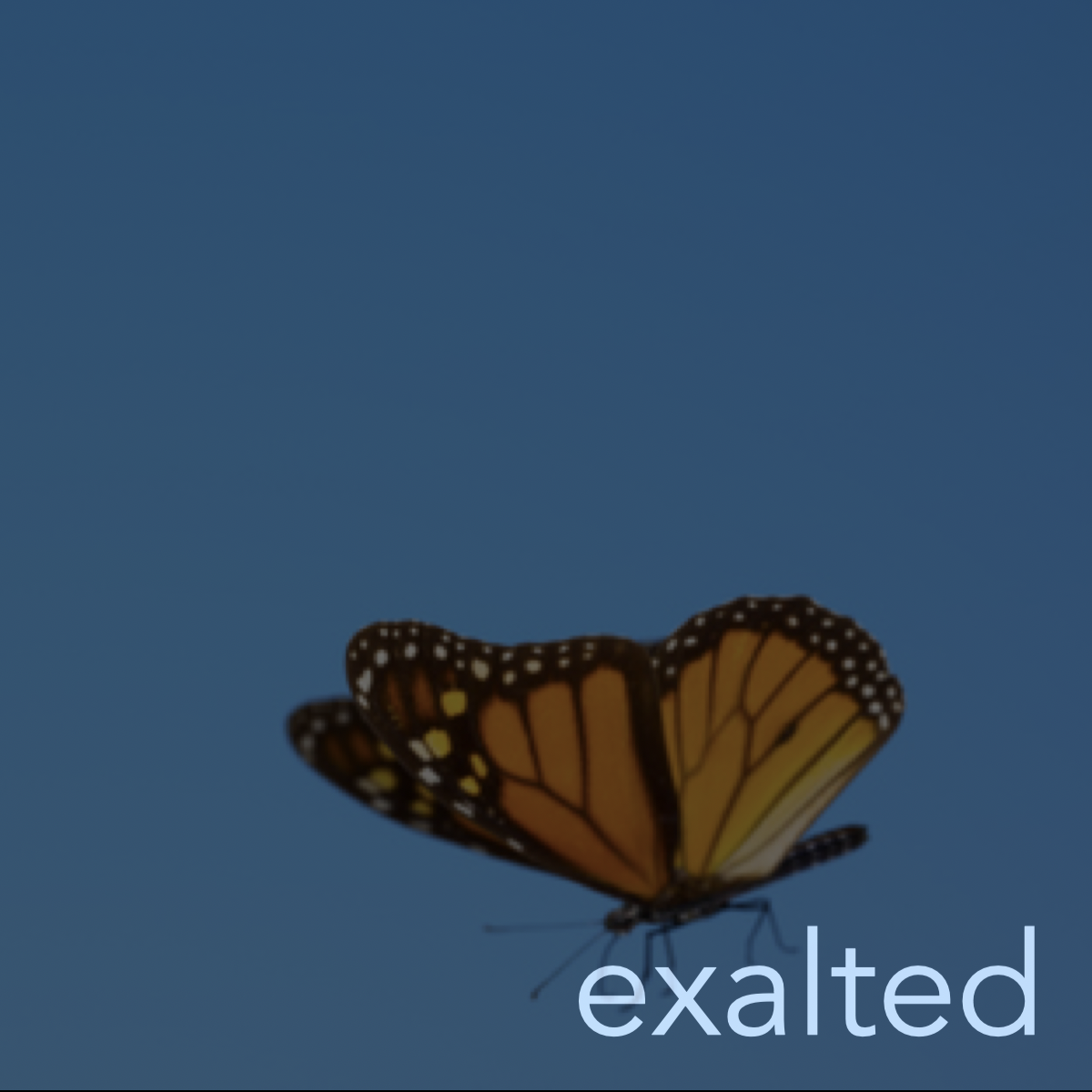 Exalted(5): By Our Service