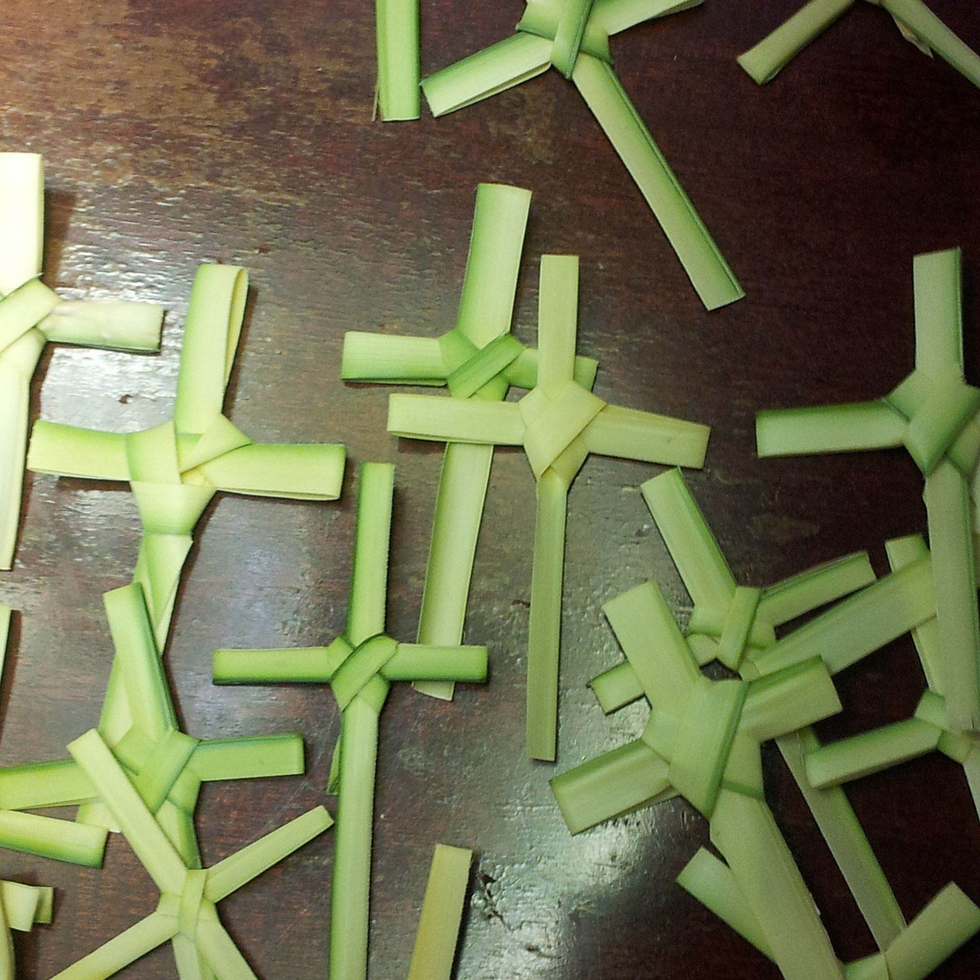 Palm Sunday - What Glorify Means