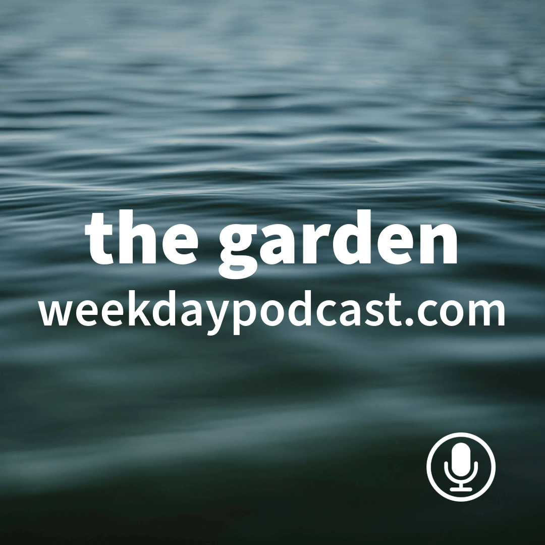 Episode Cover