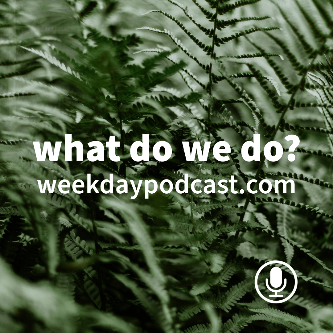 Episode Cover