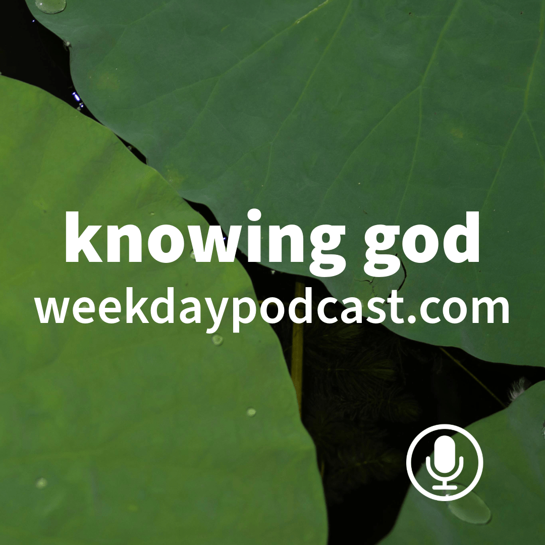 Episode Cover