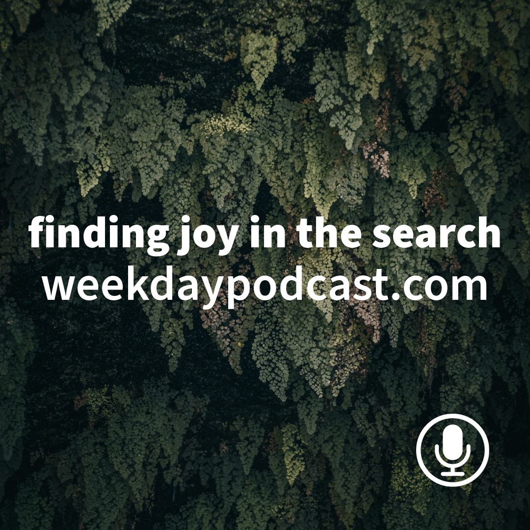 Episode Cover