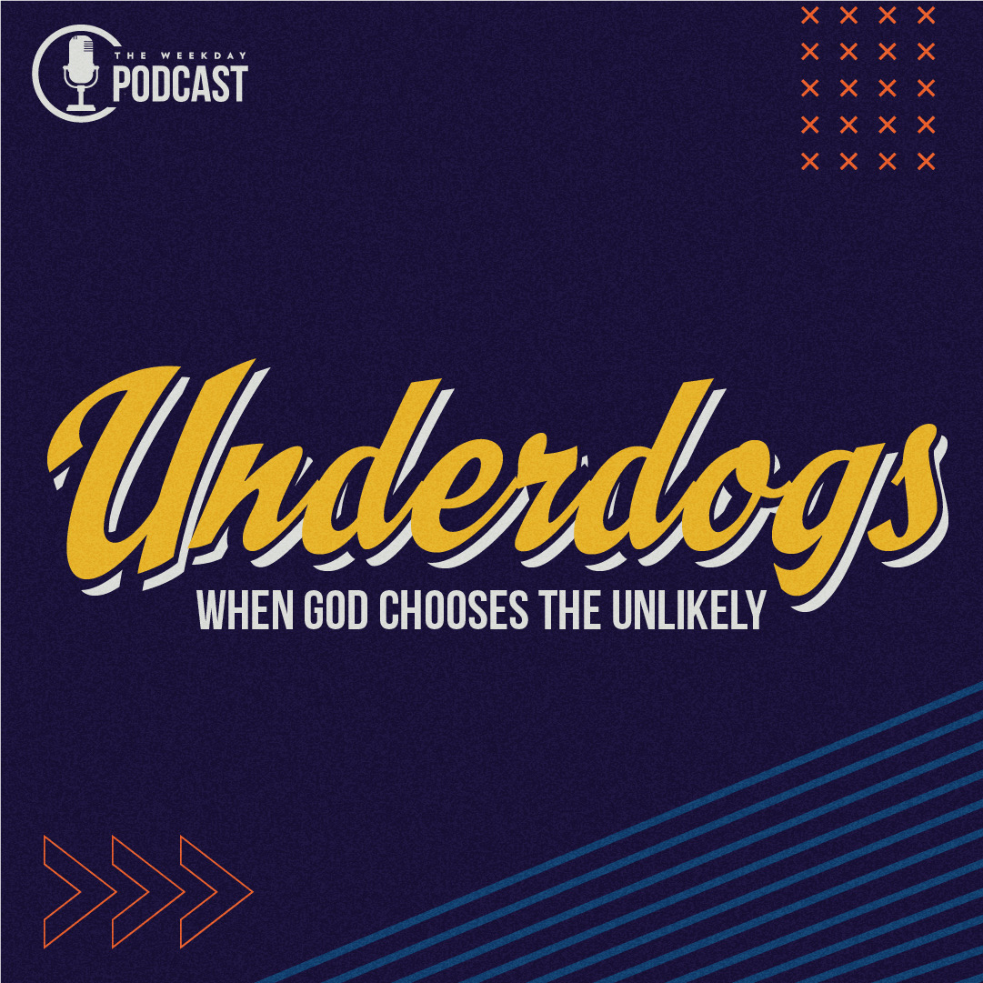 The Underdog Doghouse