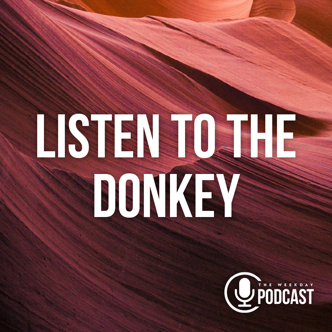 Listen to the Donkey