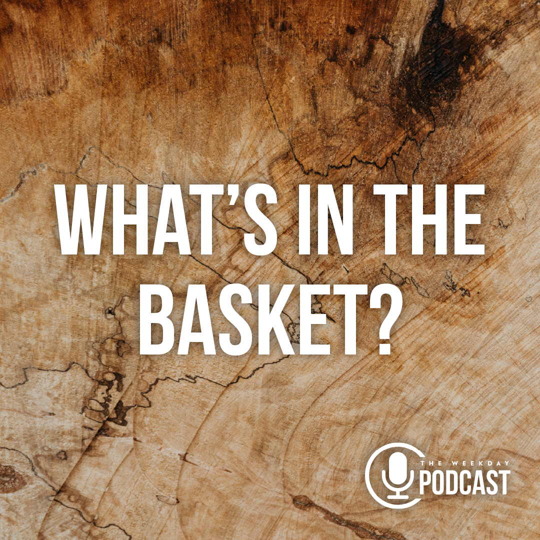 What's in the Basket?