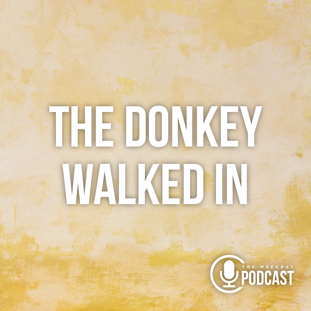 The Donkey Walked In