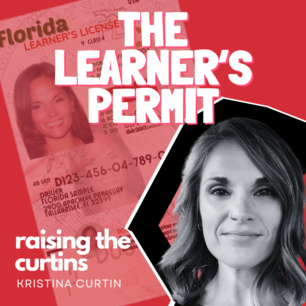224. the learner's permit episode artwork