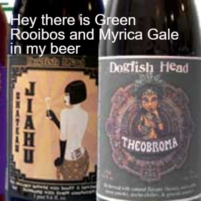 Hey there is Green Rooibos and Myrica Gale in my beer