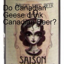 Do Canadian Geese drink Canadian Beer?