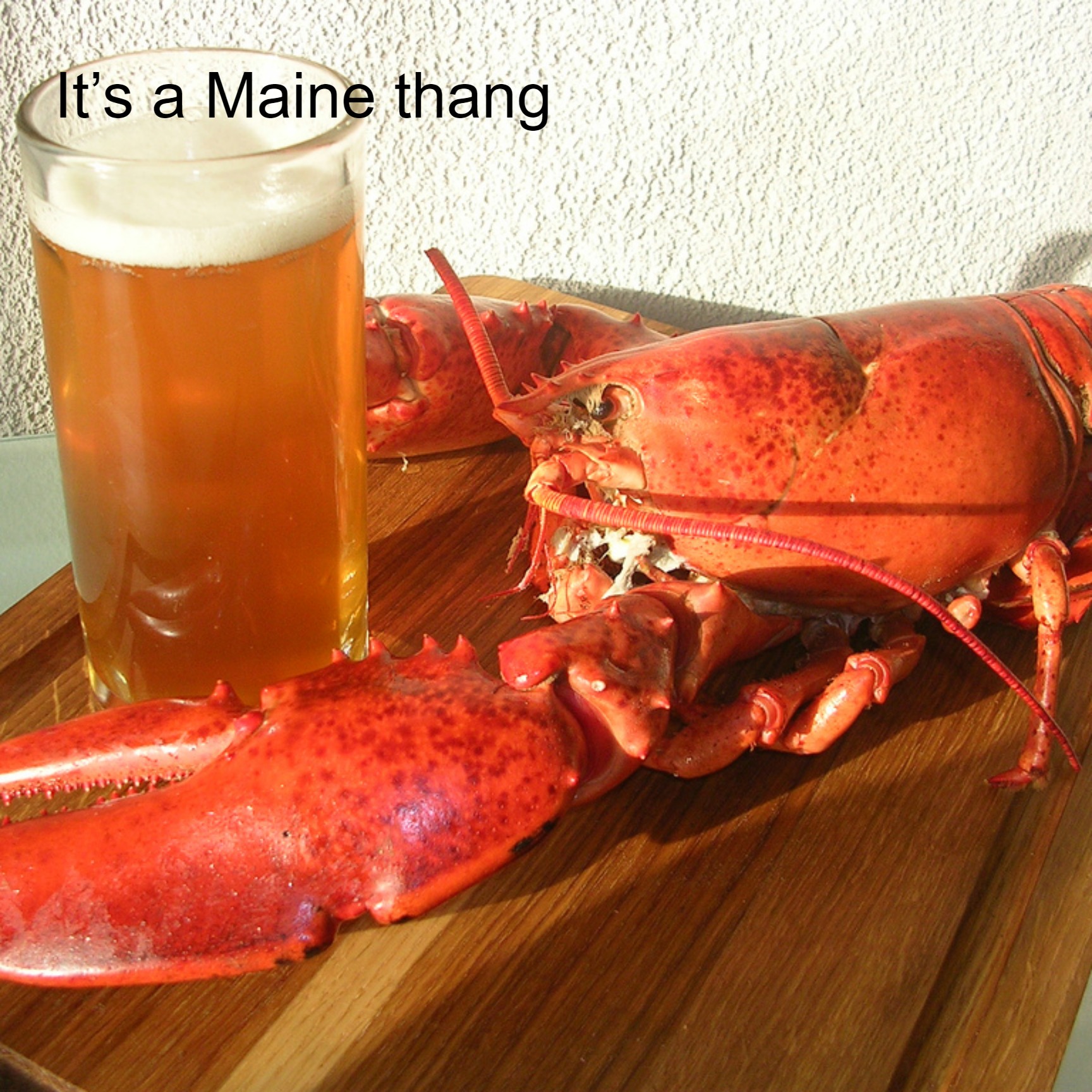 It’s a Maine thang