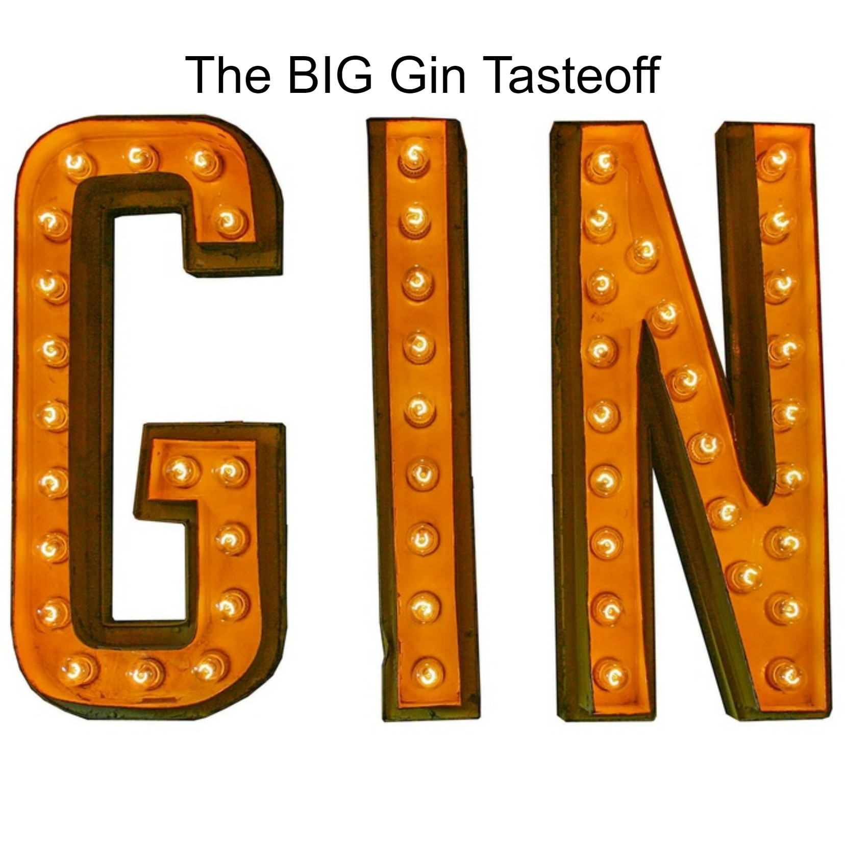 The BIG Gin Tasteoff