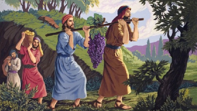 Episode Cover