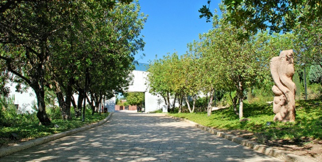 Episode Cover