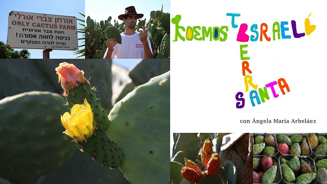 Maravilloso Negev, cactus e investigación - El Cura Amigo con Rodrigo X. Carreras