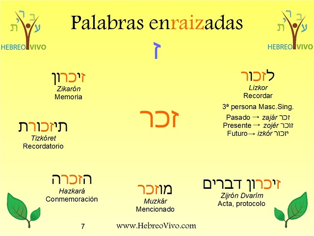 El dual en hebreo, ese útil desconocido (y zain-kaf-reish)