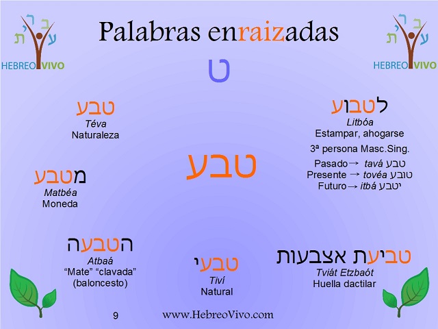 La importancia de lo cotidiano (y tet-bet-ayn)