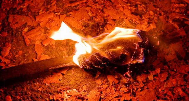 Episode Cover